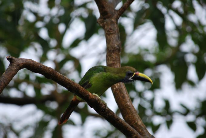 costa-rica1_046