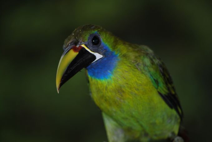 costa-rica1_048