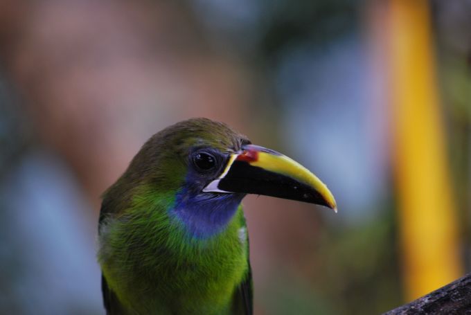 costa-rica1_055