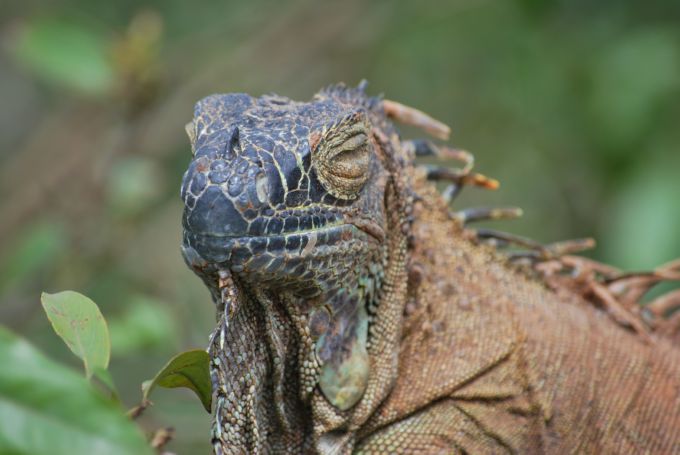 costa-rica1_073