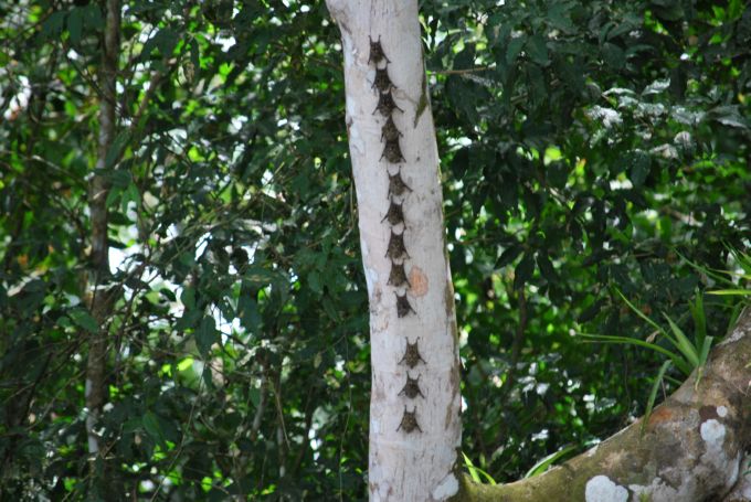 costa-rica1_090