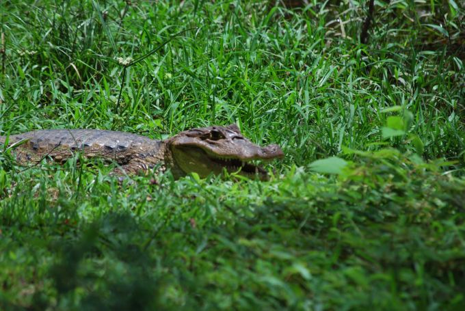 costa-rica1_105