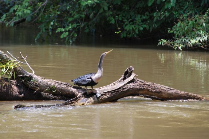 costa-rica1_112