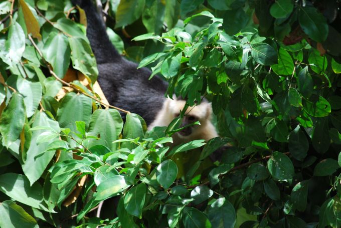 costa-rica1_128