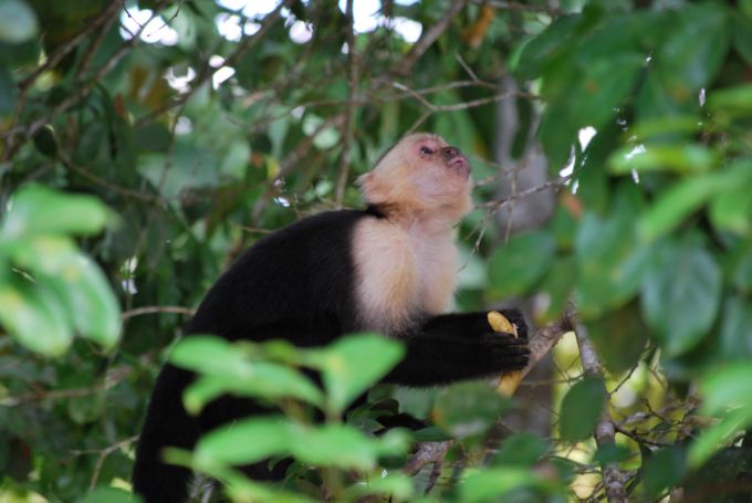 costa-rica1_129