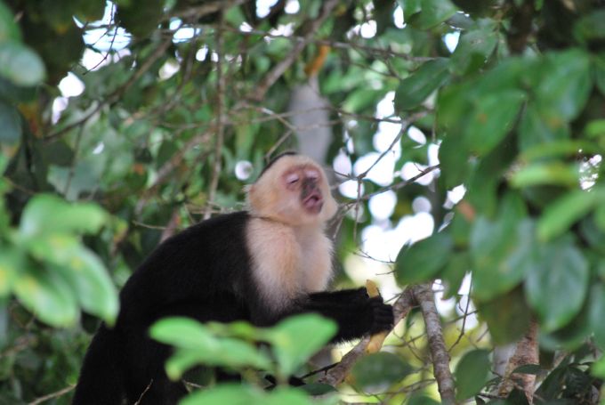 costa-rica1_130