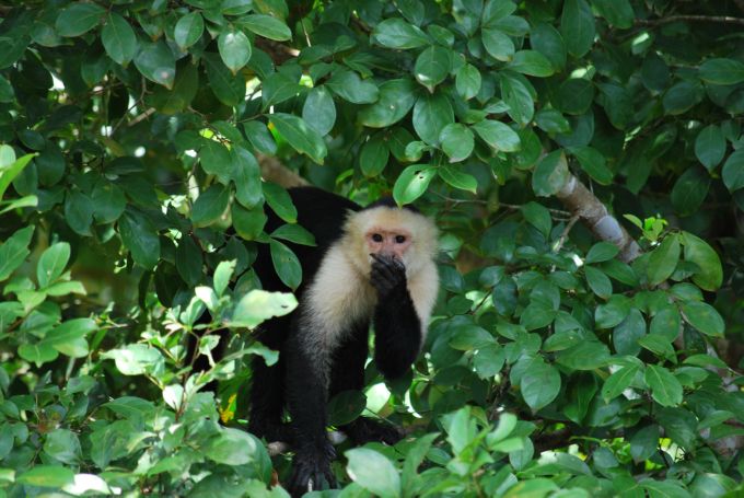 costa-rica1_132