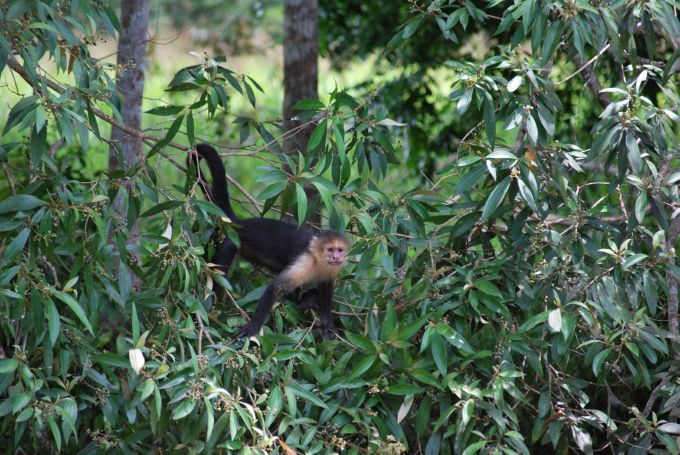costa-rica1_152