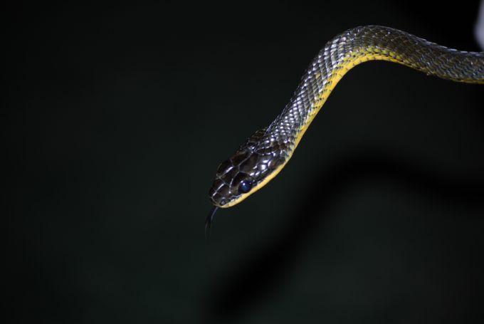 costa-rica1_181