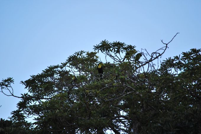 costa-rica2_026
