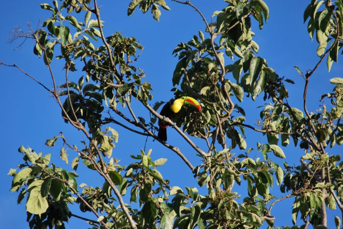 costa-rica2_031