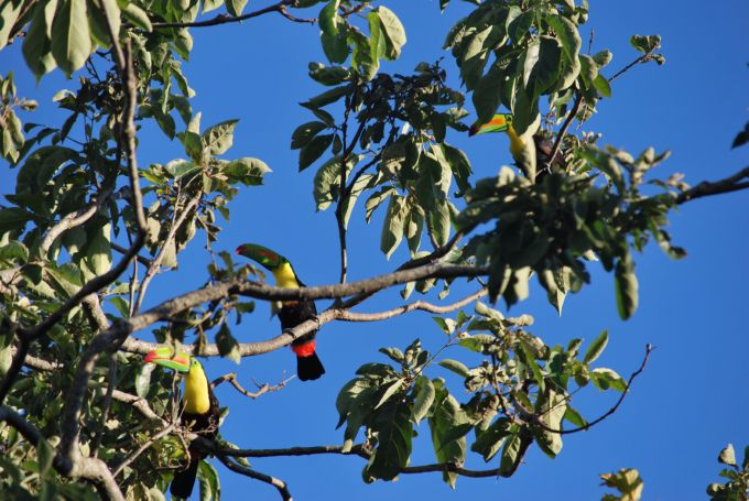 costa-rica2_035