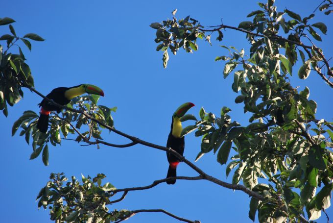 costa-rica2_036