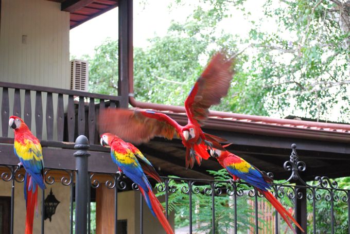 costa-rica2_052