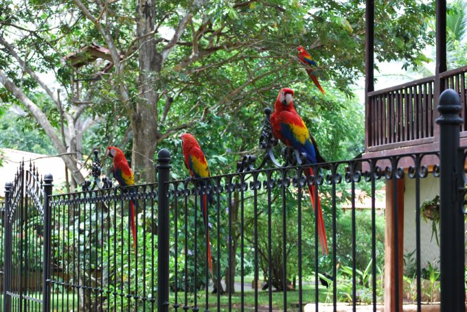 costa-rica2_059