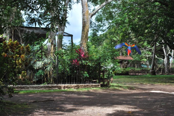 costa-rica2_071
