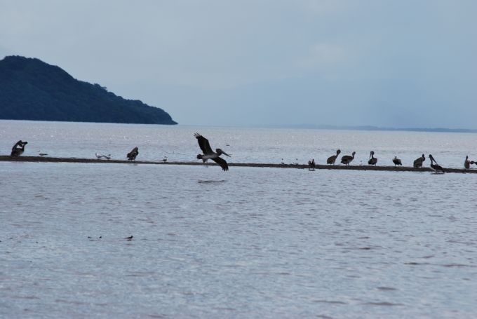 costa-rica2_127