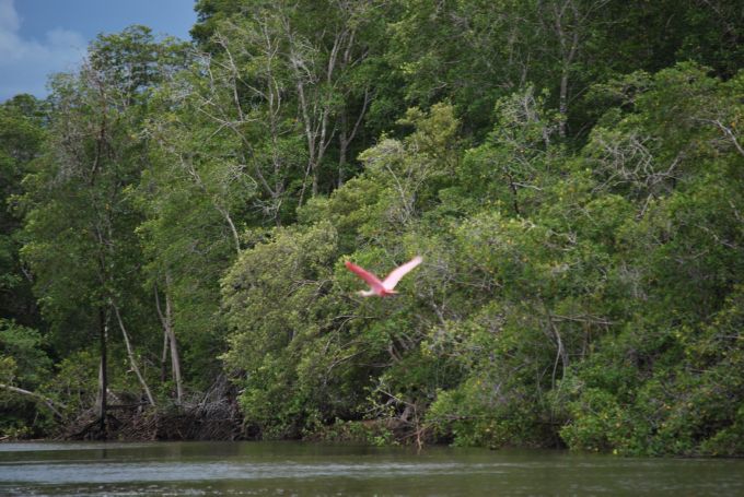 costa-rica2_139