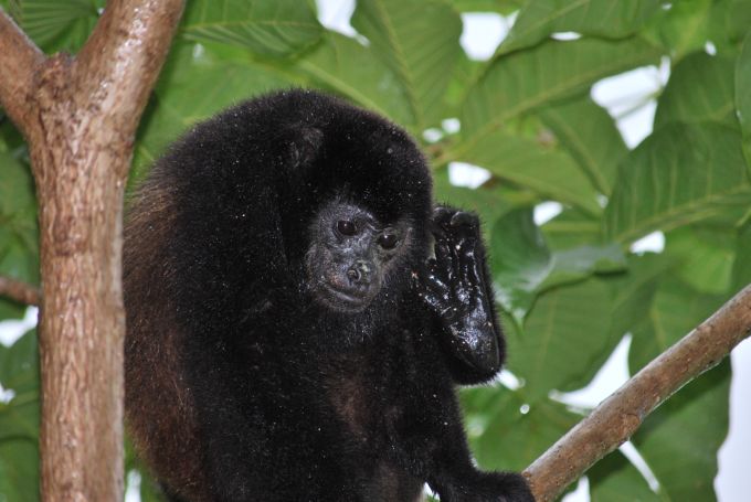 costa-rica2_169